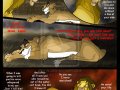 tlk_heirs_72_by_Savu0211.jpg